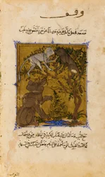 Folio du Sulwan al-Muta (Solace of pleasure) par Ibn Zafar; verso- Le Conte de l